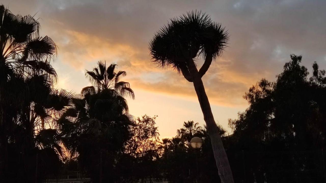Paraiso Altemar, Duplex Las Americas プラヤ・デ・ラス・アメリカス エクステリア 写真