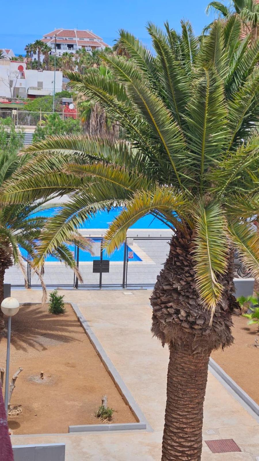Paraiso Altemar, Duplex Las Americas プラヤ・デ・ラス・アメリカス エクステリア 写真